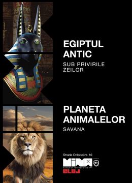 Egiptul Antic + Planeta Animalelor