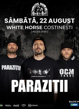 Costinesti: Concert Parazitii