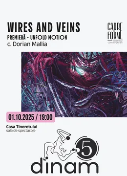 Timisoara: Wires and Veins - PREMIERĂ