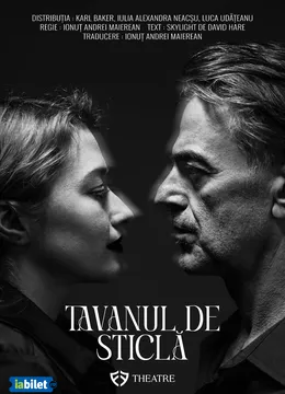 Tavanul de sticla
