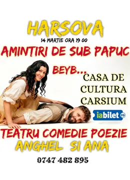 Harsova: Amintiri de sub papuc