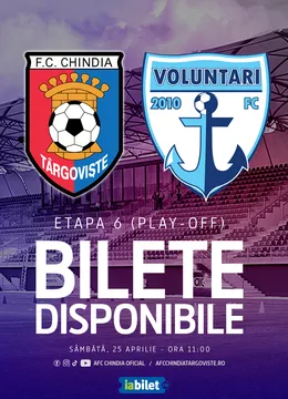 FC Chindia Targoviste - FC Voluntari