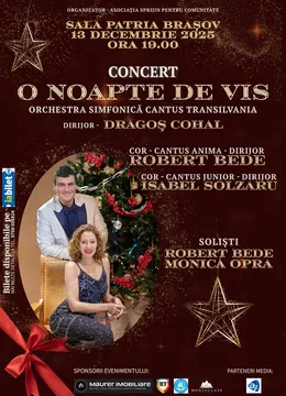 Brasov: O noapte de vis