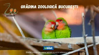 Gradina Zoologica Bucuresti