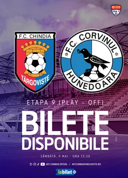 FC Chindia Targoviste - Corvinul Hunedoara