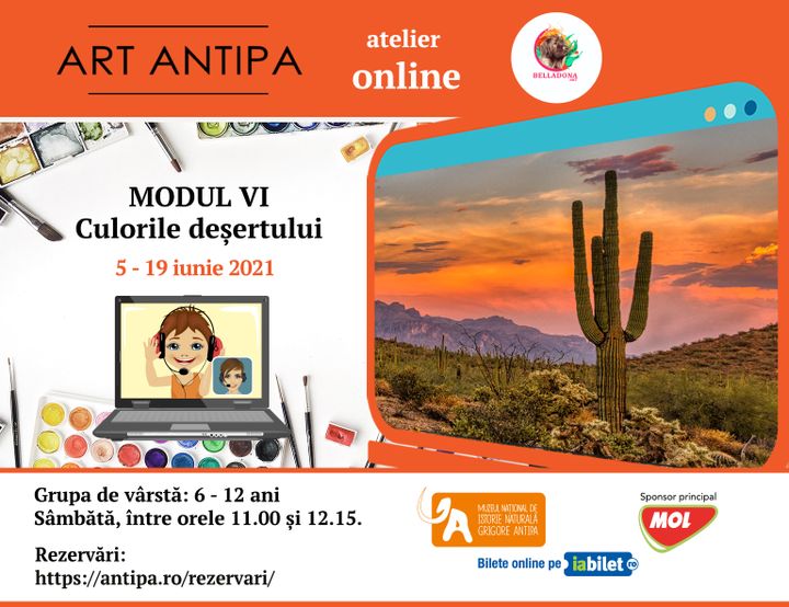 Art Antipa online