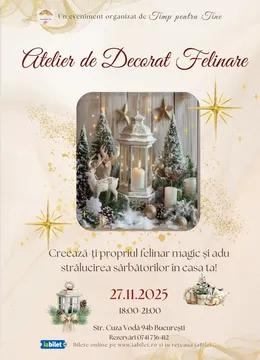 Workshop "Felinare de Iarnă"