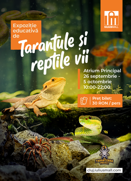 Cluj-Napoca: Expoziție educativă de Tarantule și reptile vii