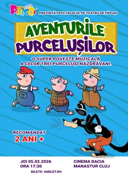 Cluj-Napoca: Aventurile purcelusilor