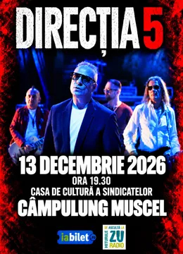Campulung Muscel: Concert Direcția 5 - „100% Direcția 5”