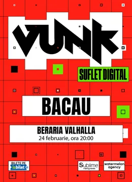 VUNK @ Bacau - SUFLET DIGITAL